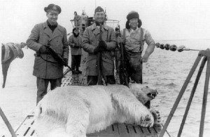 ¿Quien le iba a decir a este pobre oso que lo cazaría un submarino? Pues eso nos pasa a nosotros...