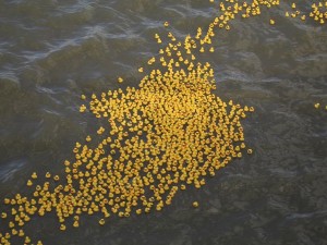 Par algunos, el mar es sólo una bañera a lo bestia...