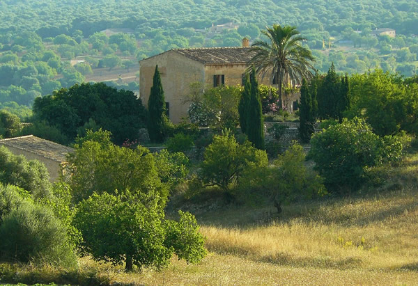 Comprar una casa en el campo: Pros y contras de una casa rural